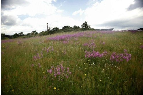 Arbejds- og samværsdag